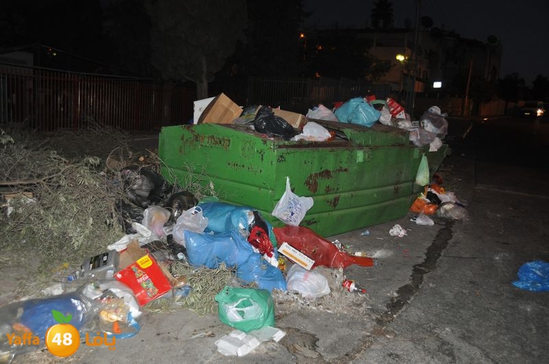 trash lud 907 (20).JPG